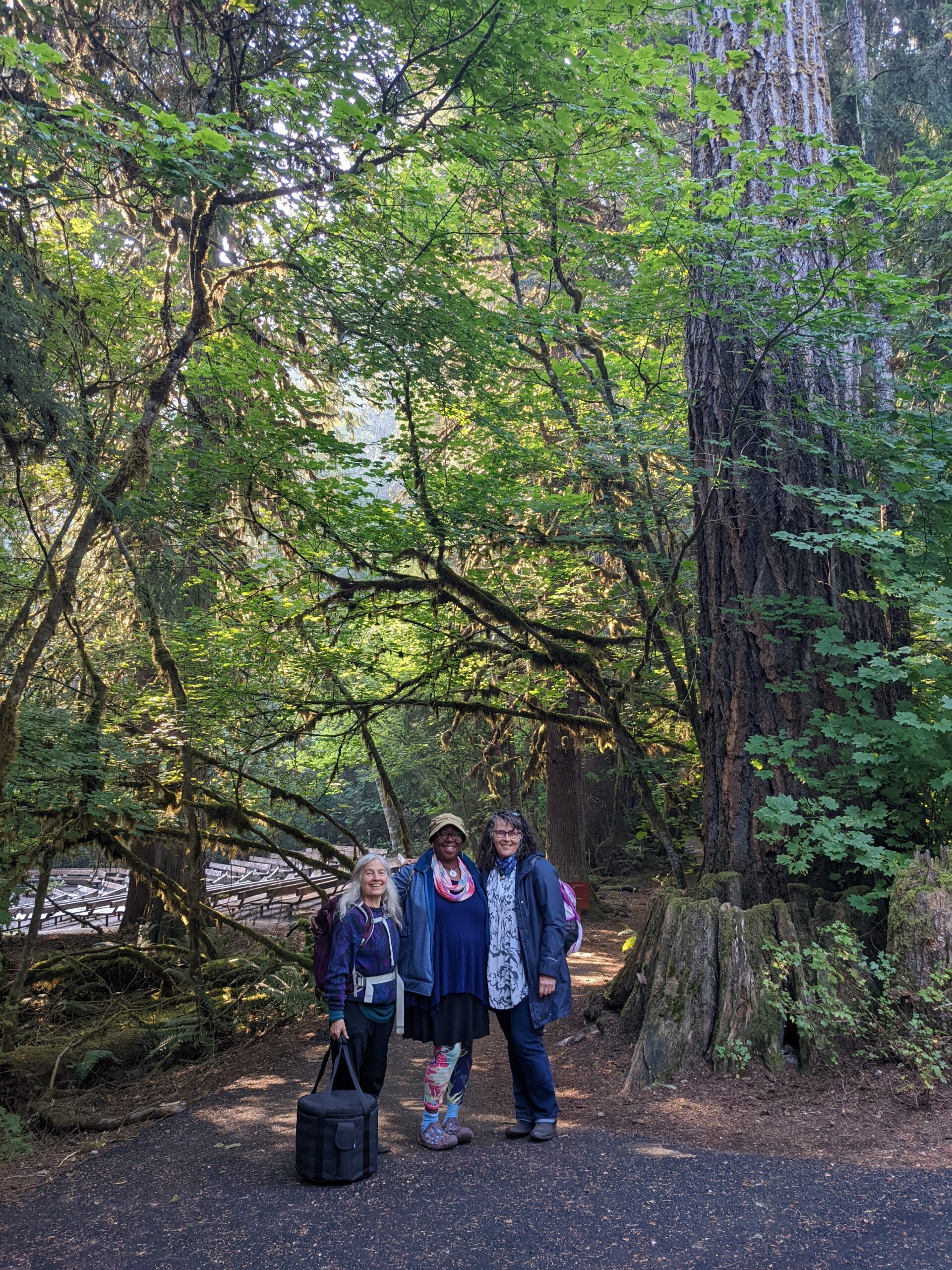 Fairy Field Trip – Mother Cedar Tree