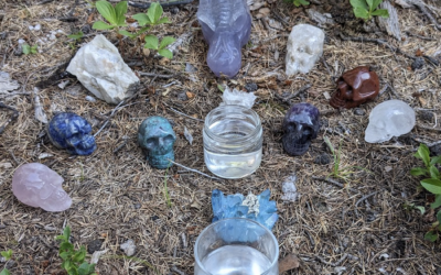 The Power of Co-creation at the 2026 Gaian Congress